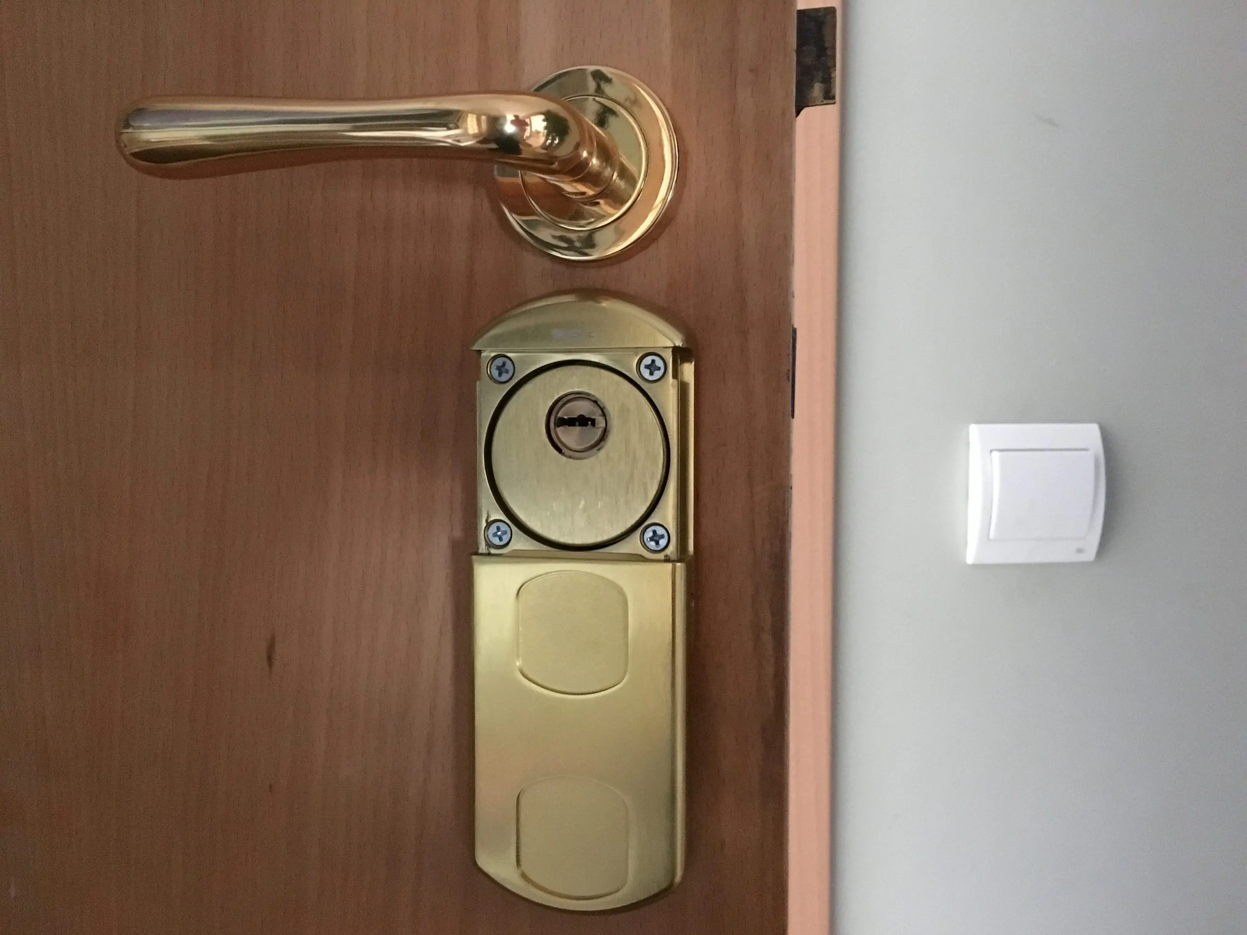 ¿Qué tipos de cerraduras son más resistentes a intentos de ocupación ilegal? Que tipos de cerraduras son mas resistentes a intentos de ocupacion ilegal - ¿Qué tipos de cerraduras son más resistentes a intentos de ocupación ilegal?